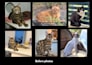 create a digital art pet portrait